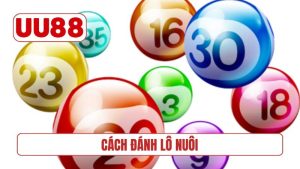 Cách đánh lô nuôi