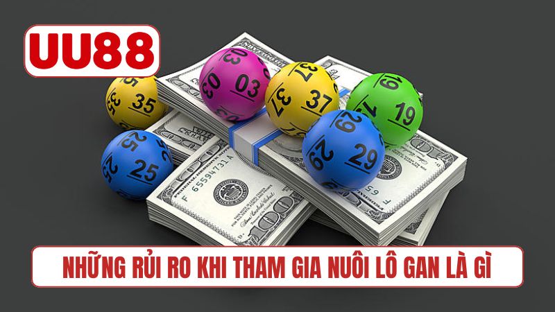Tránh những rủi ro khi tham gia nuôi lô gan là gì